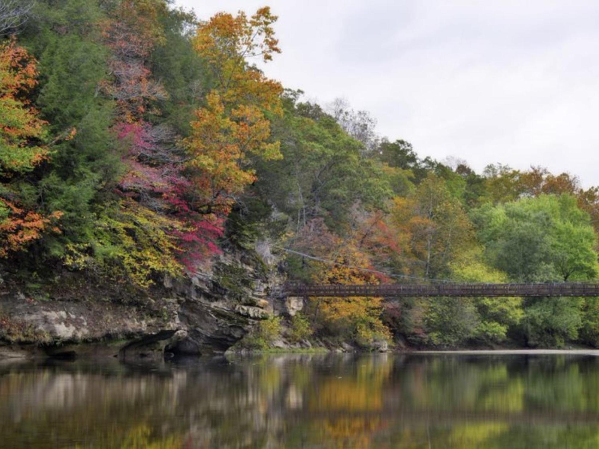 Turkey Run Inn&Cabins Marshall Bagian luar foto