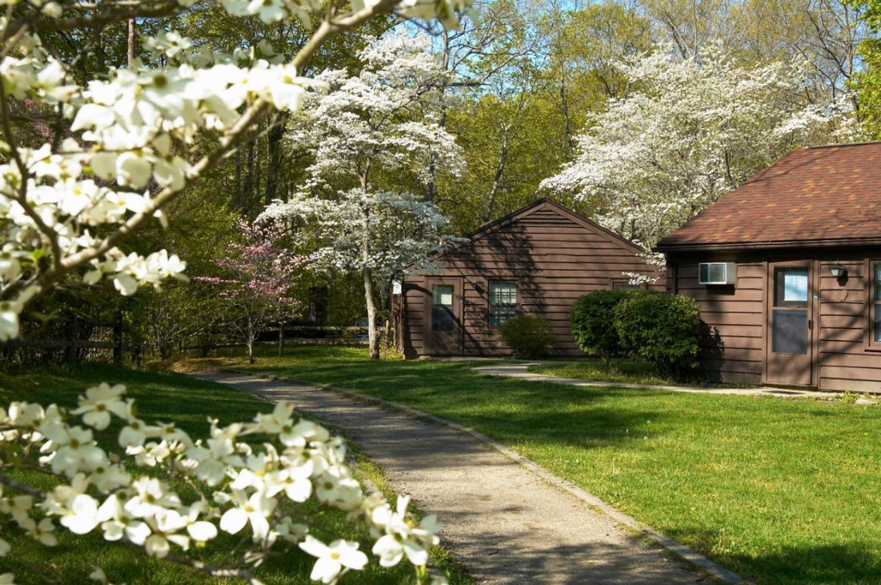Turkey Run Inn&Cabins Marshall Bagian luar foto